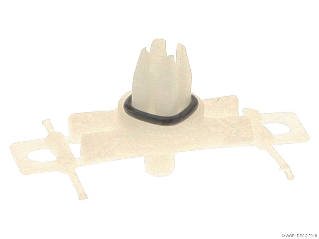 2001-2005 BMW 320i Exterior Molding Clip (Genuine)