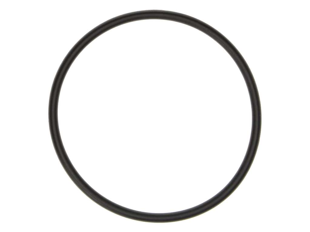 2002-2010 Ford Explorer Engine Coolant Thermostat Seal (Mahle)