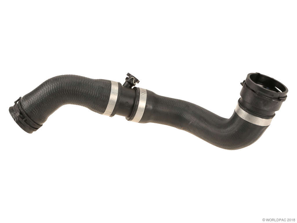2003-2006 Mercedes-Benz S55 AMG Radiator Coolant Hose - Upper (Genuine)
