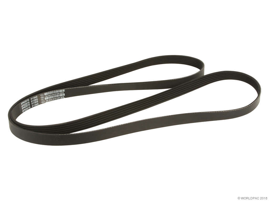 1991-1995 Dodge Caravan Accessory Drive Belt - Primary (Dayco)
