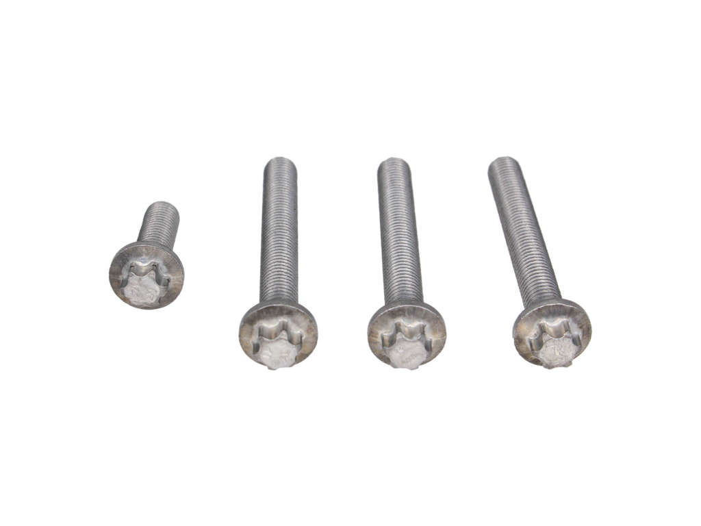2007-2011 BMW X3 Screw Set (Rein)