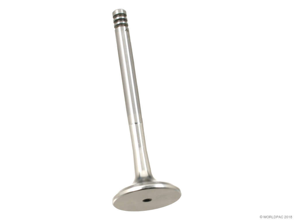 1997-2004 Volkswagen Golf Engine Exhaust Valve (AE)
