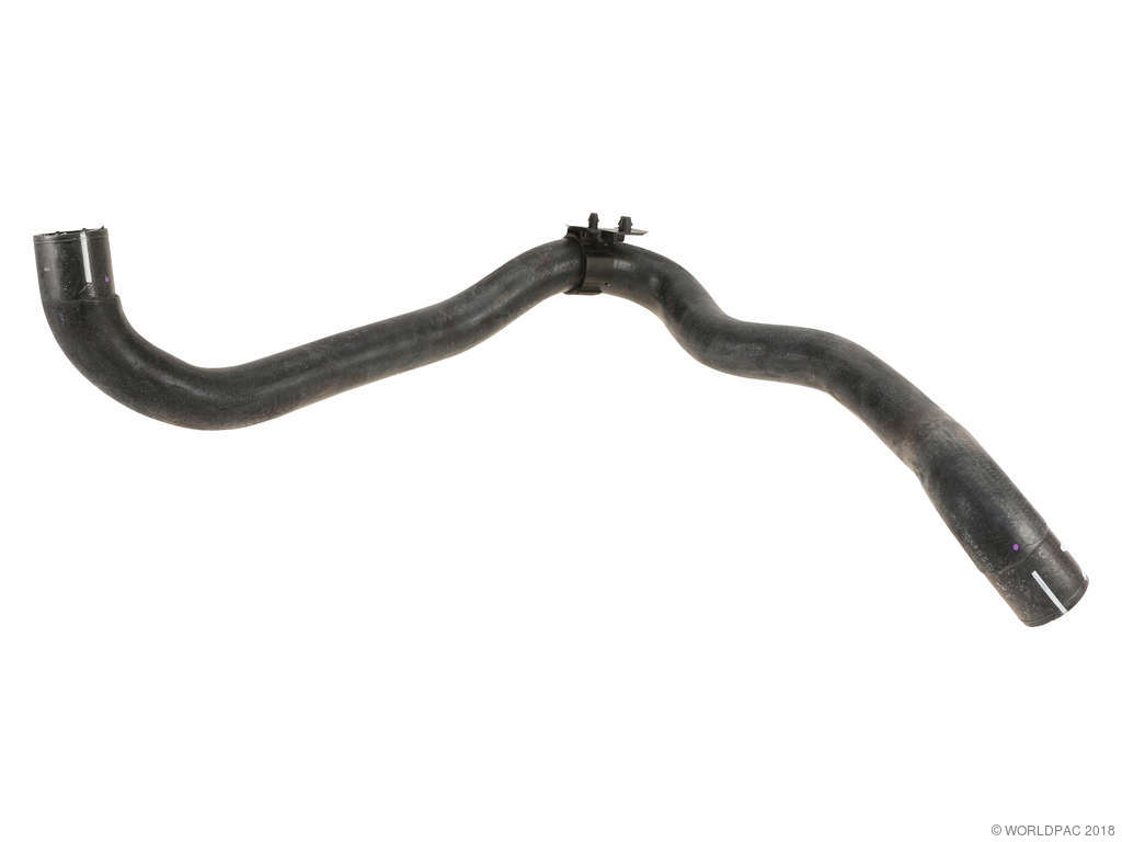 2011-2013 Volkswagen Jetta Radiator Coolant Hose -  or Lower (Genuine)