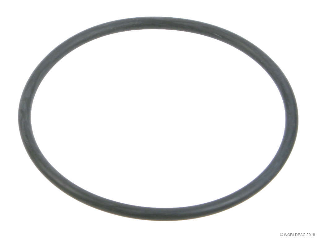 1995-2005 Volkswagen Golf Engine Water Pump Seal (Victor Reinz)