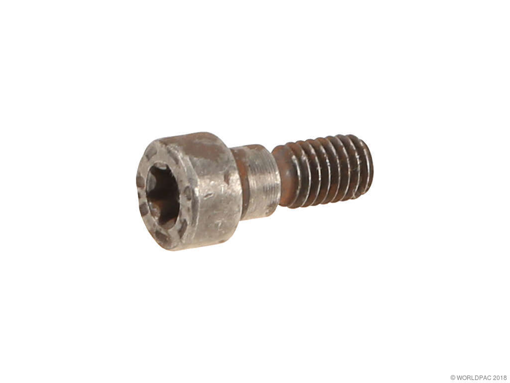 2004-2006 BMW X3 Engine Variable Valve Timing (VVT) Adjuster Bolt (Genuine)