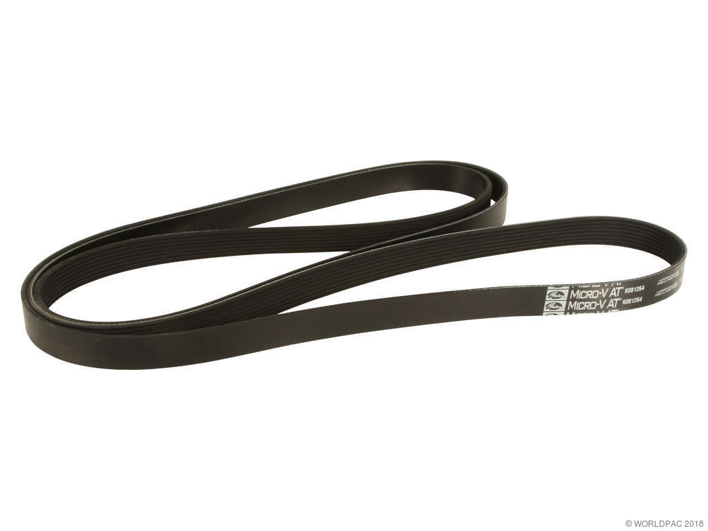 2011-2012 Ram 4500 Accessory Drive Belt (Gates)