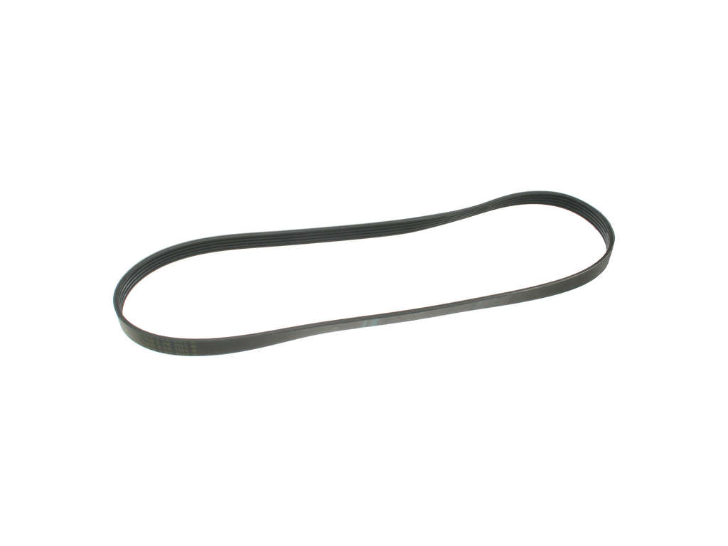 2007-2008 Audi RS4 Accessory Drive Belt - Primary (ContiTech)