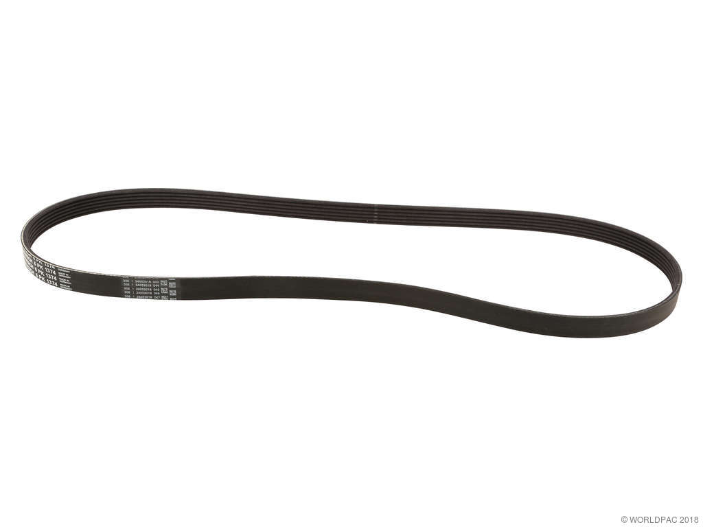 2002-2008 Mini Cooper Accessory Drive Belt (ContiTech)