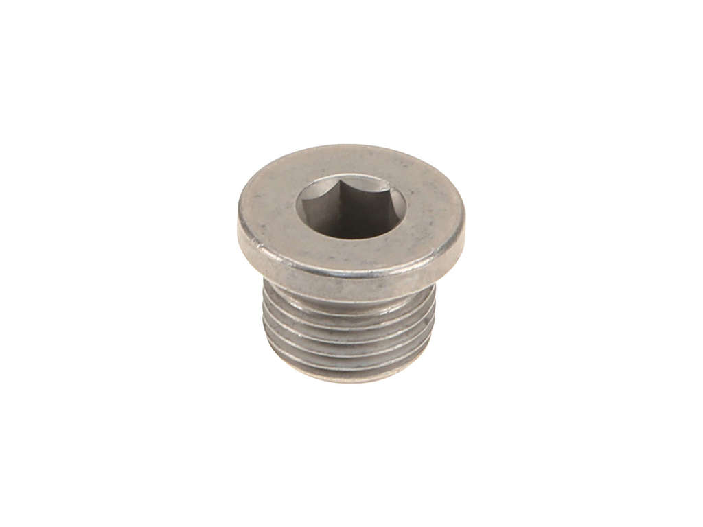 2009-2010 Porsche Cayenne Radiator Drain Plug (MTC)