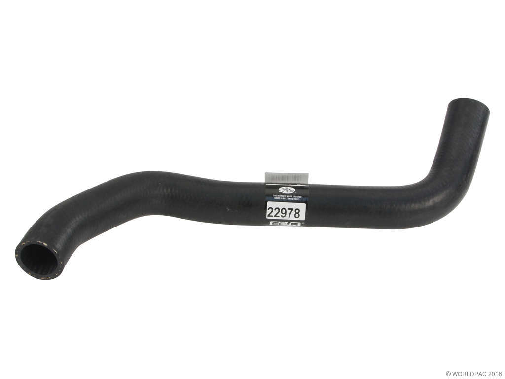 2003-2008 INFINITI FX35 Radiator Coolant Hose - Lower (Gates)