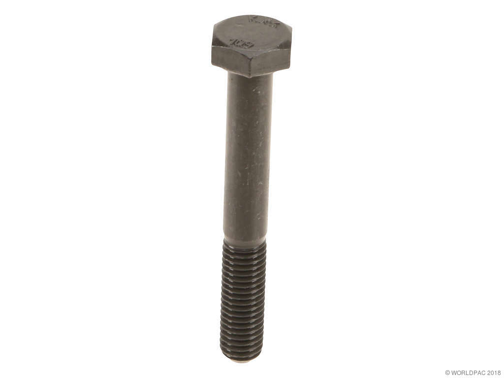 1996-2000 BMW Z3 Engine Crankshaft Main Bearing Cap Bolt (Genuine)