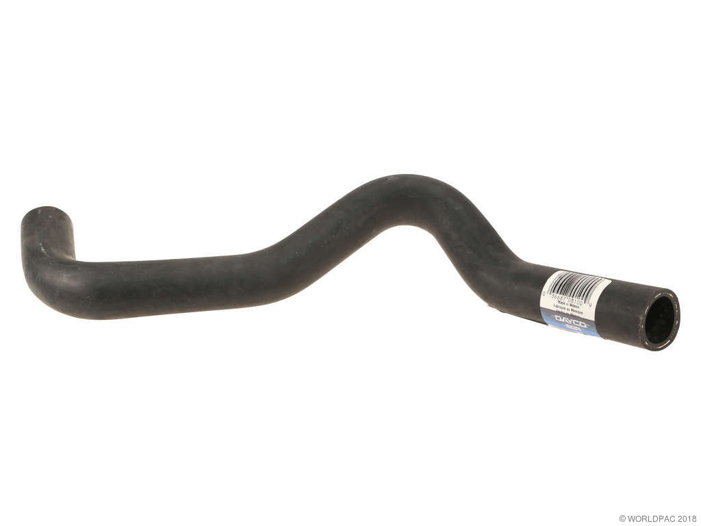 1997-2001 Hyundai Tiburon Radiator Coolant Hose - Lower (Dayco)