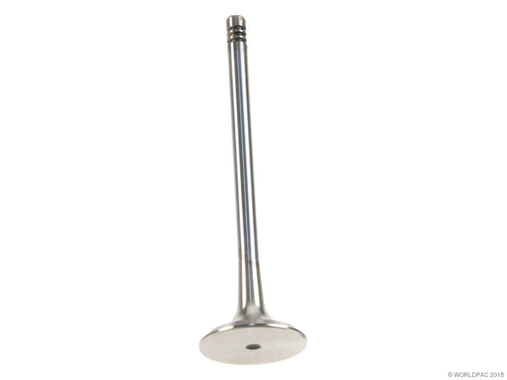 1993-2001 BMW 740i Engine Exhaust Valve (TRW)