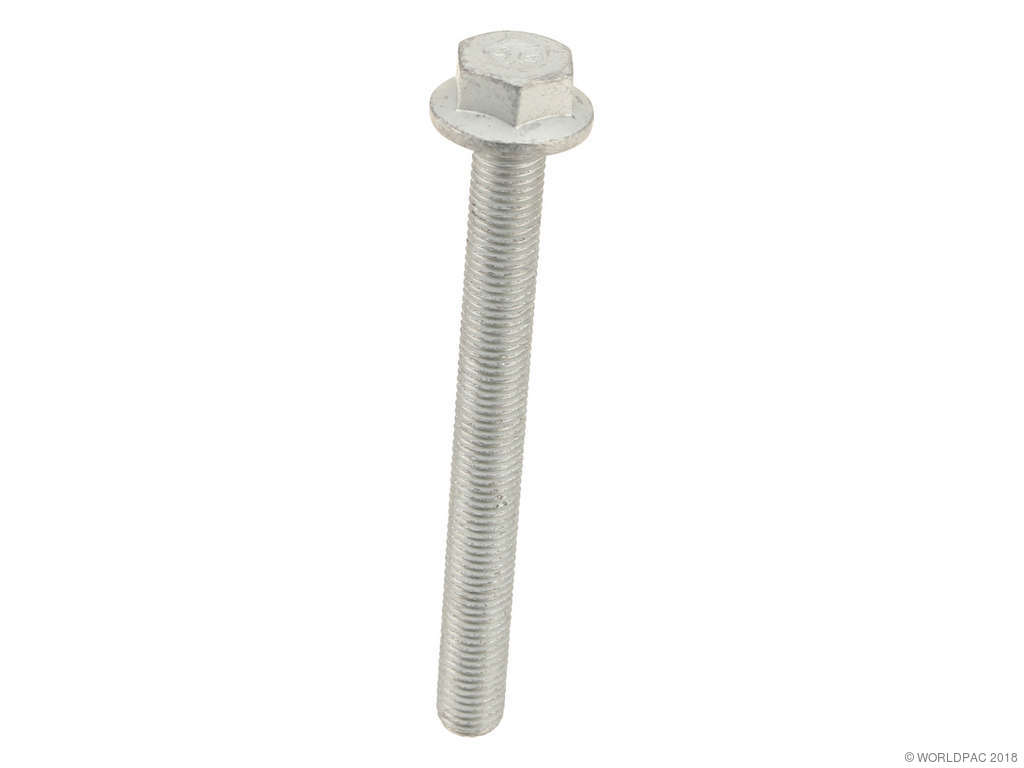 2002-2005 Audi A4 Engine Camshaft Bolt (Genuine)
