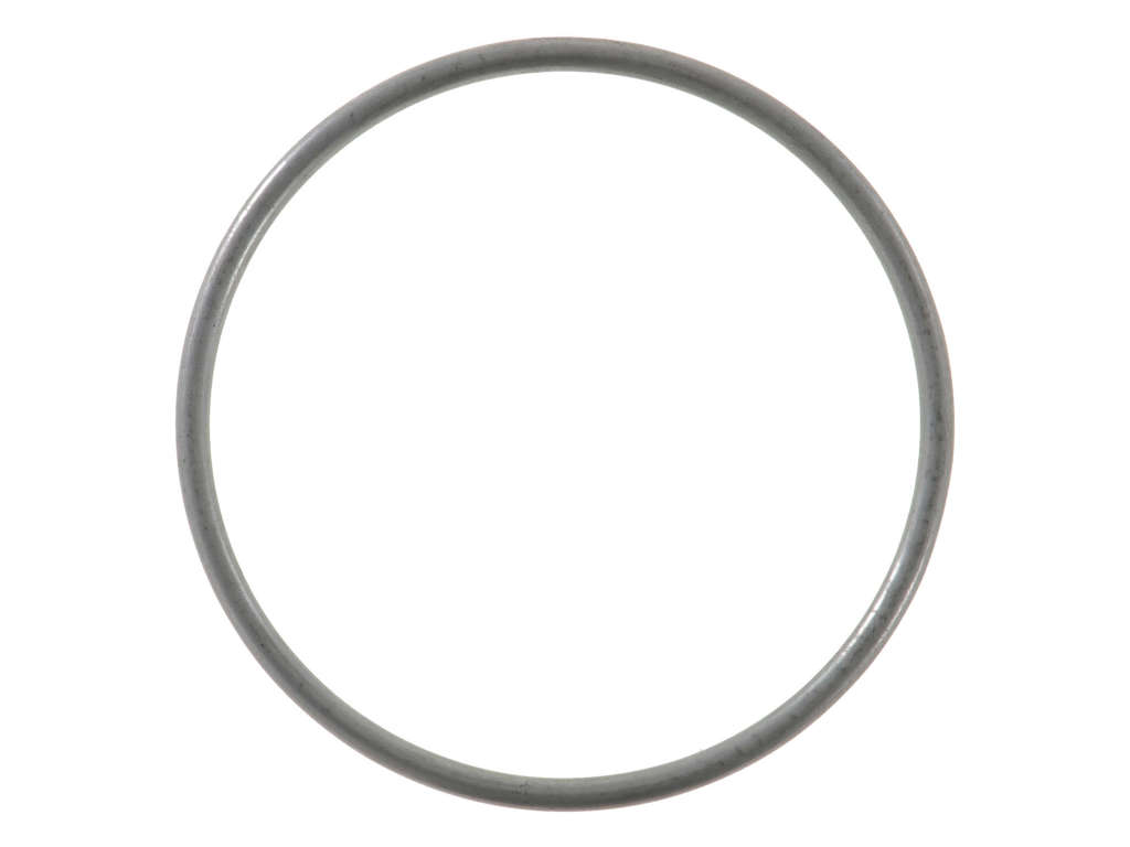 2009-2010 Pontiac G3 Catalytic Converter Gasket - Center (Autopart International)