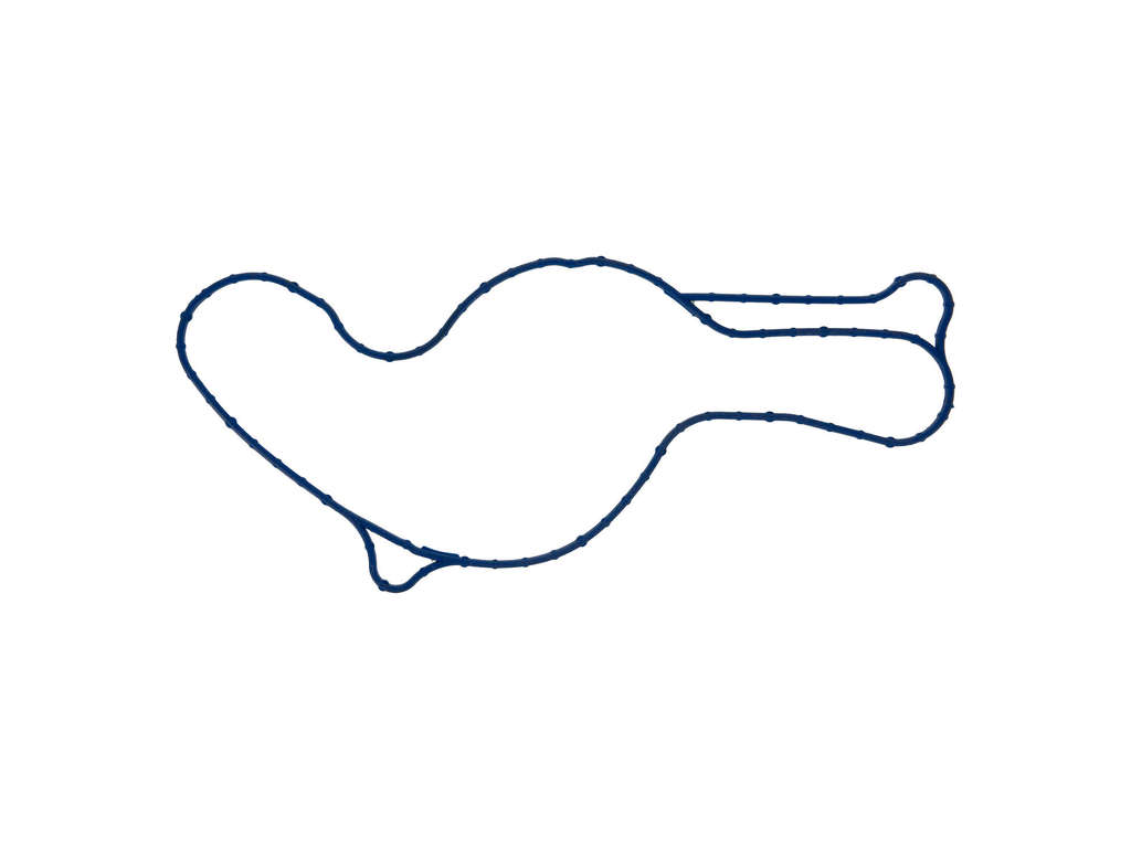 2012-2018 Lincoln MKX Engine Water Pump Gasket -  or Pump To Block (Genuine)