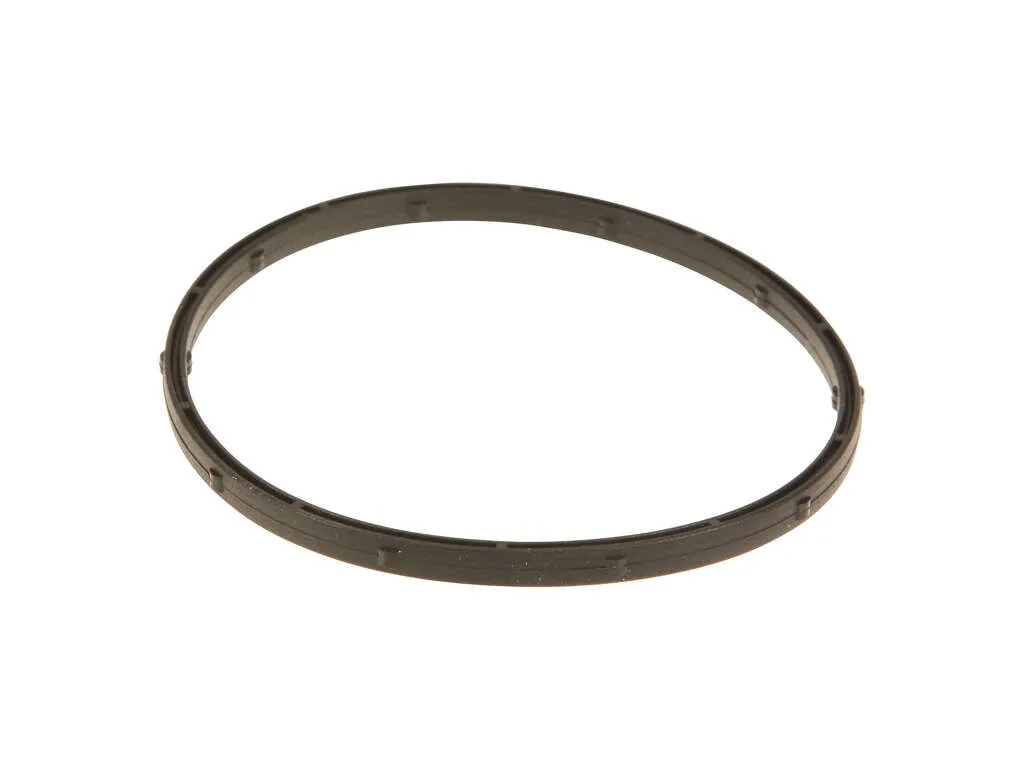 2009-2010 Ford F-350 Super Duty Fuel Injection Throttle Body Mounting Gasket (Mahle)