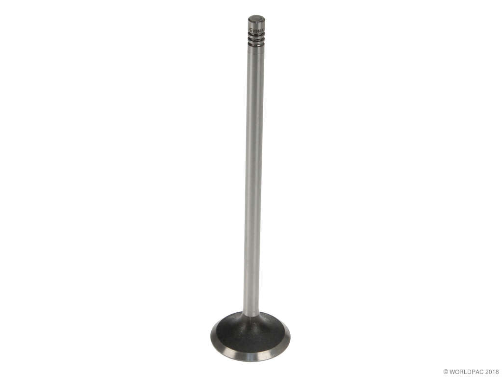 2002-2005 Volkswagen Golf Engine Intake Valve (TRW)