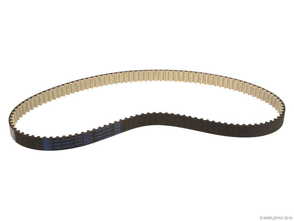 2014-2016 Ford Transit Connect Engine Timing Belt (ContiTech)