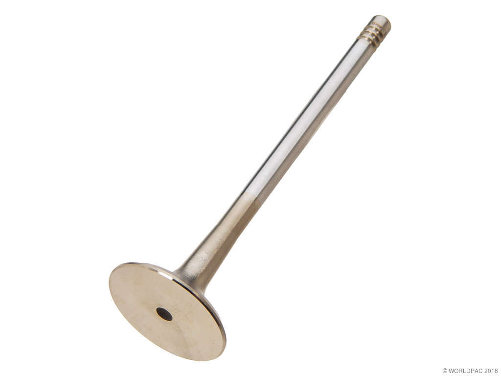 1997-2006 Audi A4 Engine Exhaust Valve (AE)