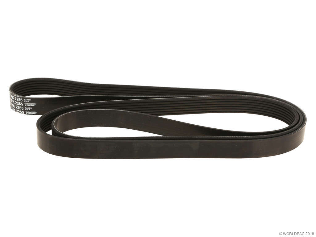 1992-1996 Dodge Dakota Accessory Drive Belt - Primary (ContiTech)