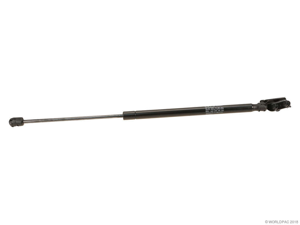 2004-2007 Nissan Murano Liftgate Lift Support - Right (Stabilus)