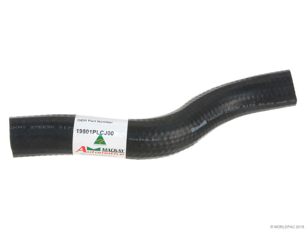 2001-2005 Honda Civic Radiator Coolant Hose - Upper (MacKay)