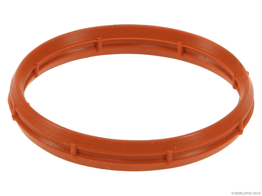 1999-2002 Nissan Quest Fuel Injection Plenum Gasket - Outer (Original Equipment)