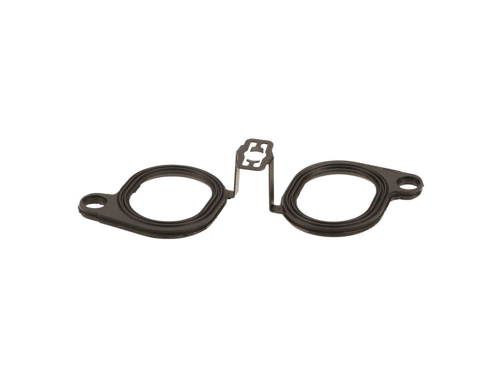 2004-2006 BMW 760i Fuel Injection Plenum Gasket (Victor Reinz)