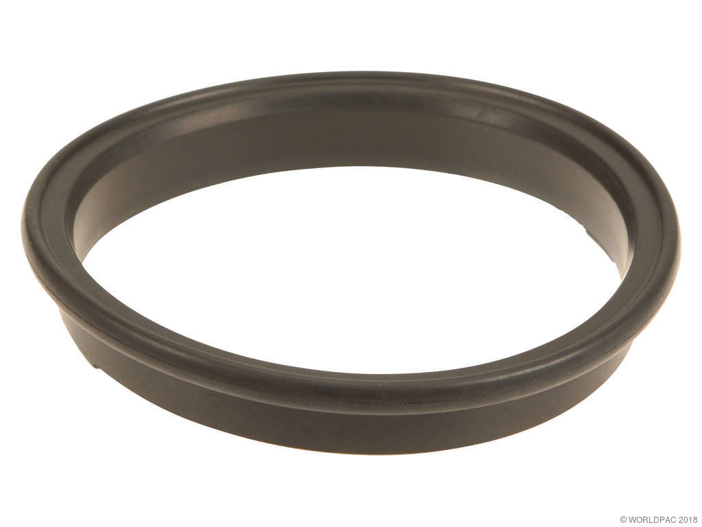 2001-2003 Pontiac Aztek Fuel Pump Tank Seal (ACDelco)