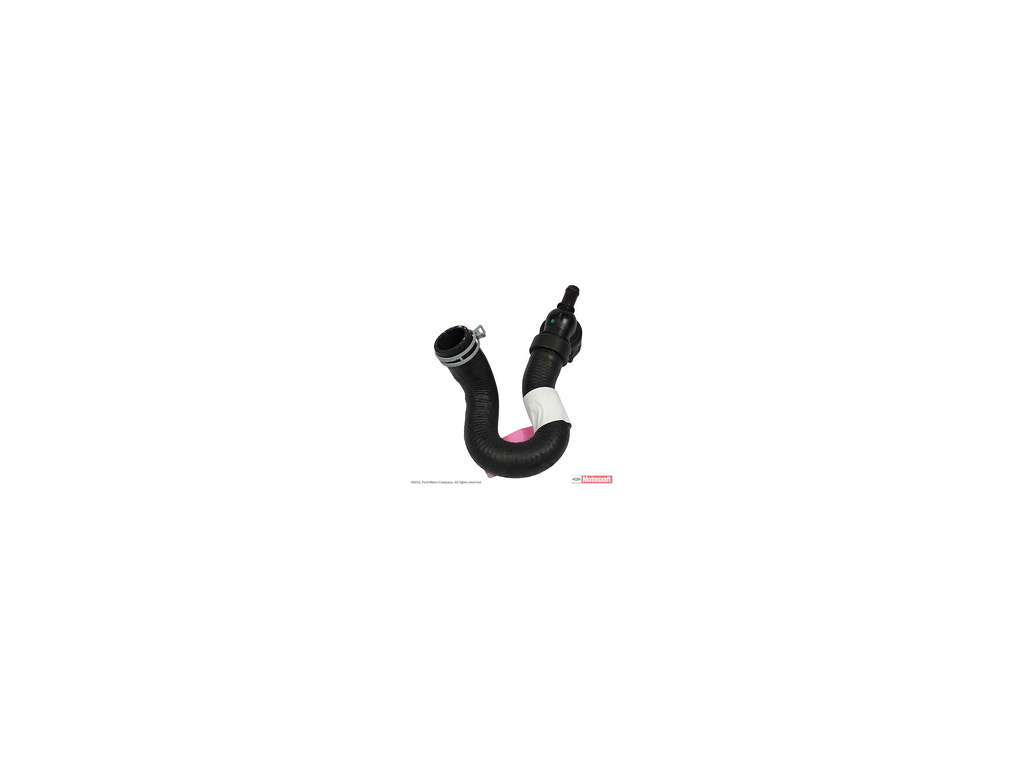 2013-2016 Ford Escape Radiator Coolant Hose - Lower or Upper (Motorcraft)