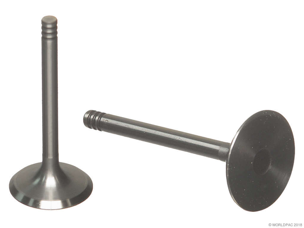 1995 Audi A6 Engine Intake Valve (TRW)