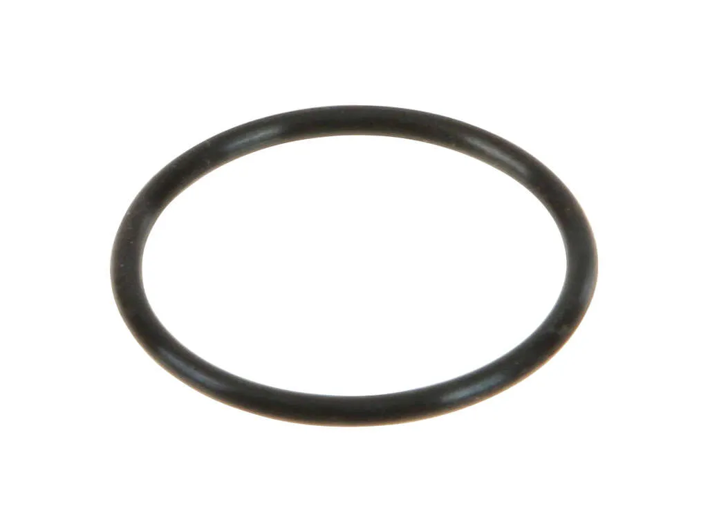 1993-1998 Nissan Quest Engine Oil Pump Pickup Tube Gasket (Nippon Reinz)