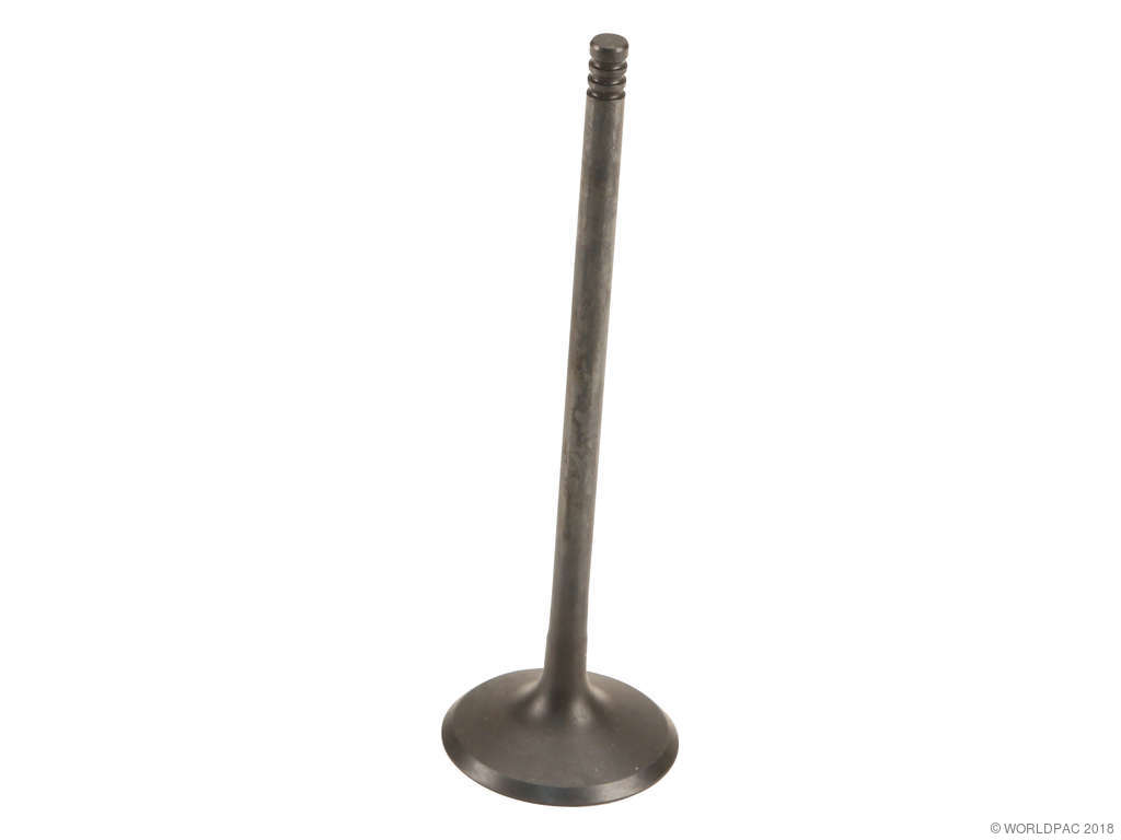 2016 Chevrolet Cruze Limited Engine Intake Valve (Genuine)