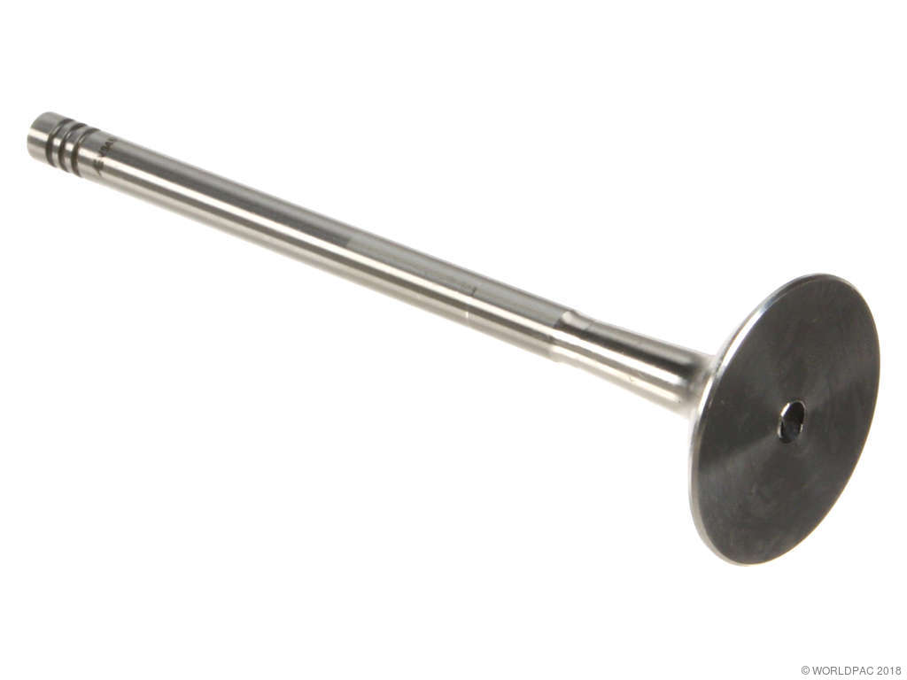 2004-2006 BMW X3 Engine Exhaust Valve (AE)
