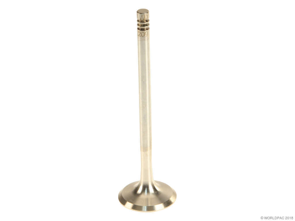 2004-2005 BMW 645Ci Engine Exhaust Valve (TRW)