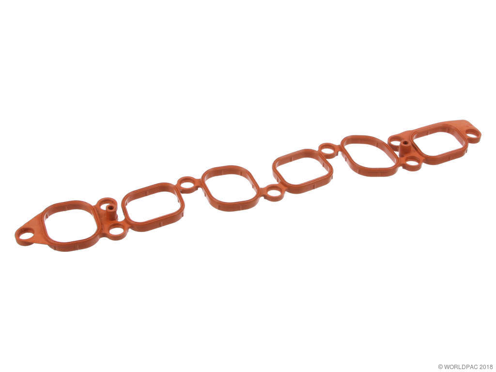 2002-2005 Volkswagen Golf Engine Intake Manifold Gasket (Victor Reinz)