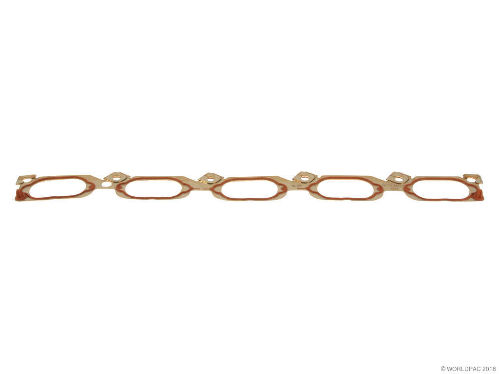 2007-2011 Audi S6 Engine Intake Manifold Gasket (Genuine)