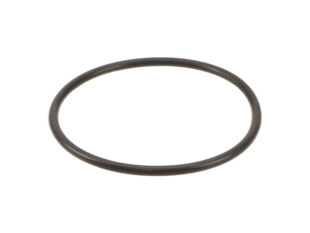 2014-2018 Kia Forte Fuel Pump Tank Seal (Genuine)
