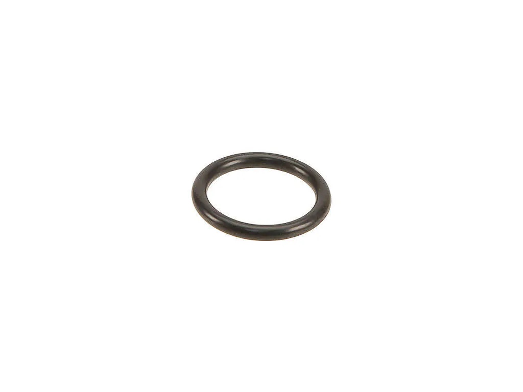 2013-2015 BMW X1 Automatic Transmission Oil Pump O-Ring (ZF)