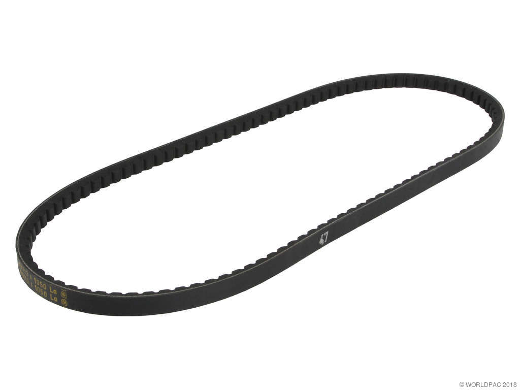 1979-1981 BMW 528i Accessory Drive Belt - Alternator (ContiTech)