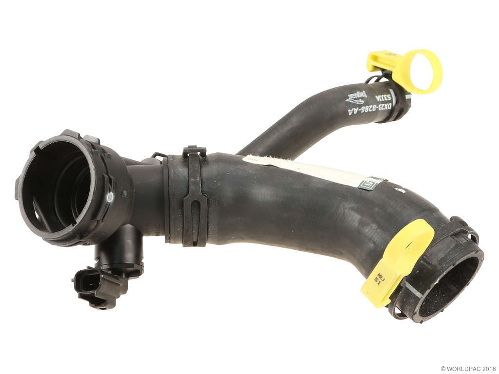 2010-2015 Jaguar XF Radiator Coolant Hose - Lower (Genuine)