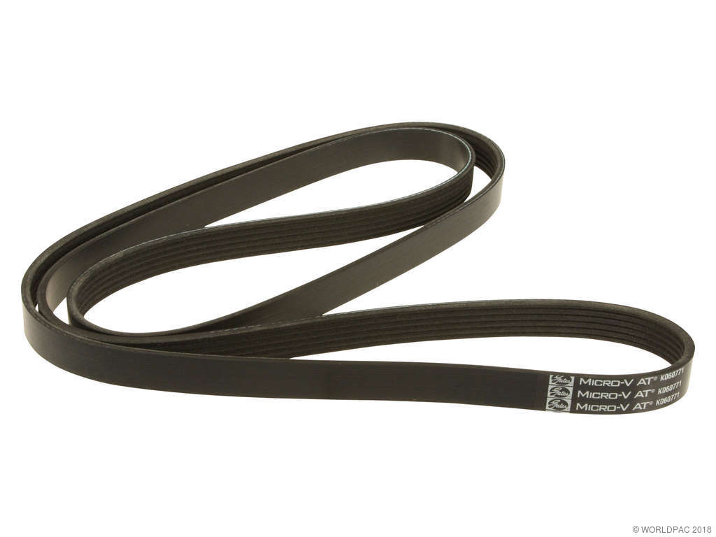 2011-2014 Dodge Avenger Accessory Drive Belt - Primary (Gates)