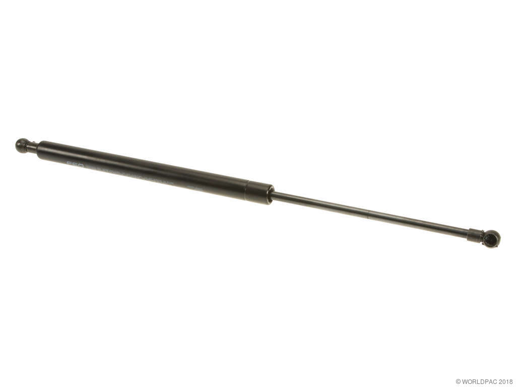 2005-2010 Scion tC Liftgate Lift Support - Right (Genuine)