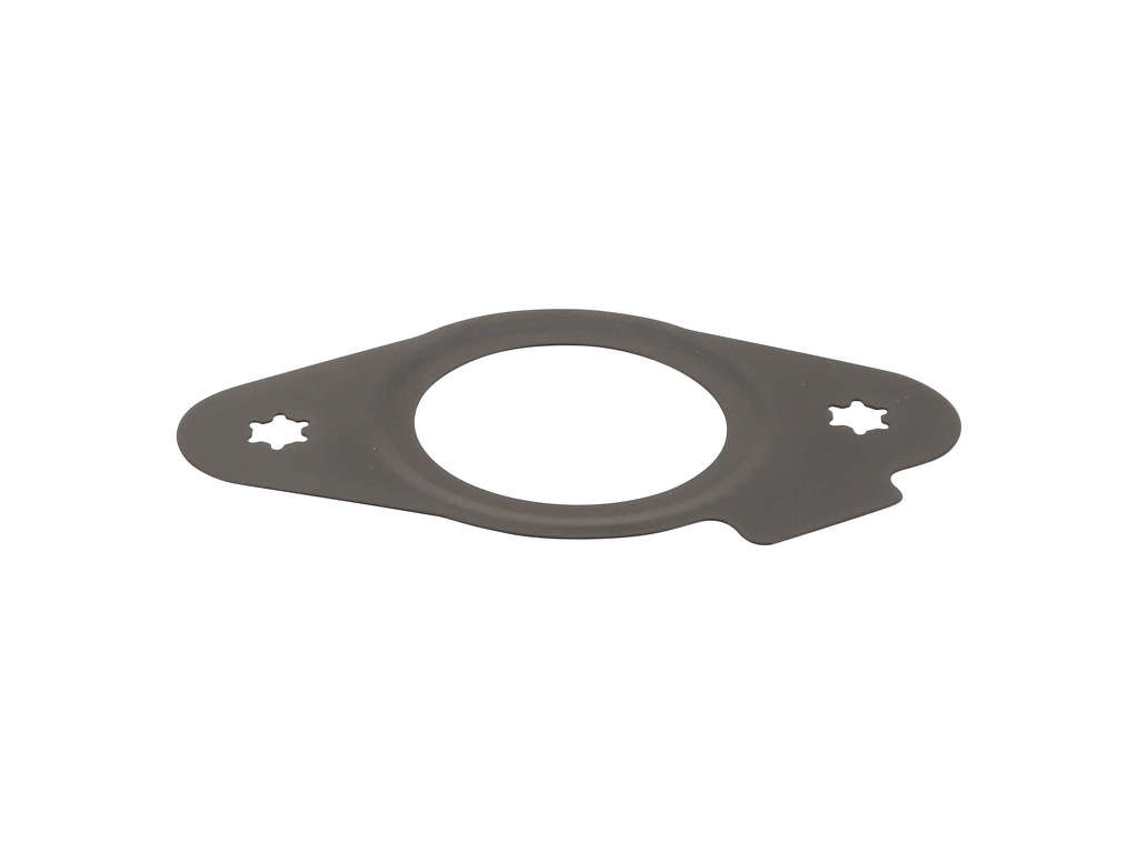 2010-2020 Chevrolet Equinox Fuel Pump Gasket (Elring)