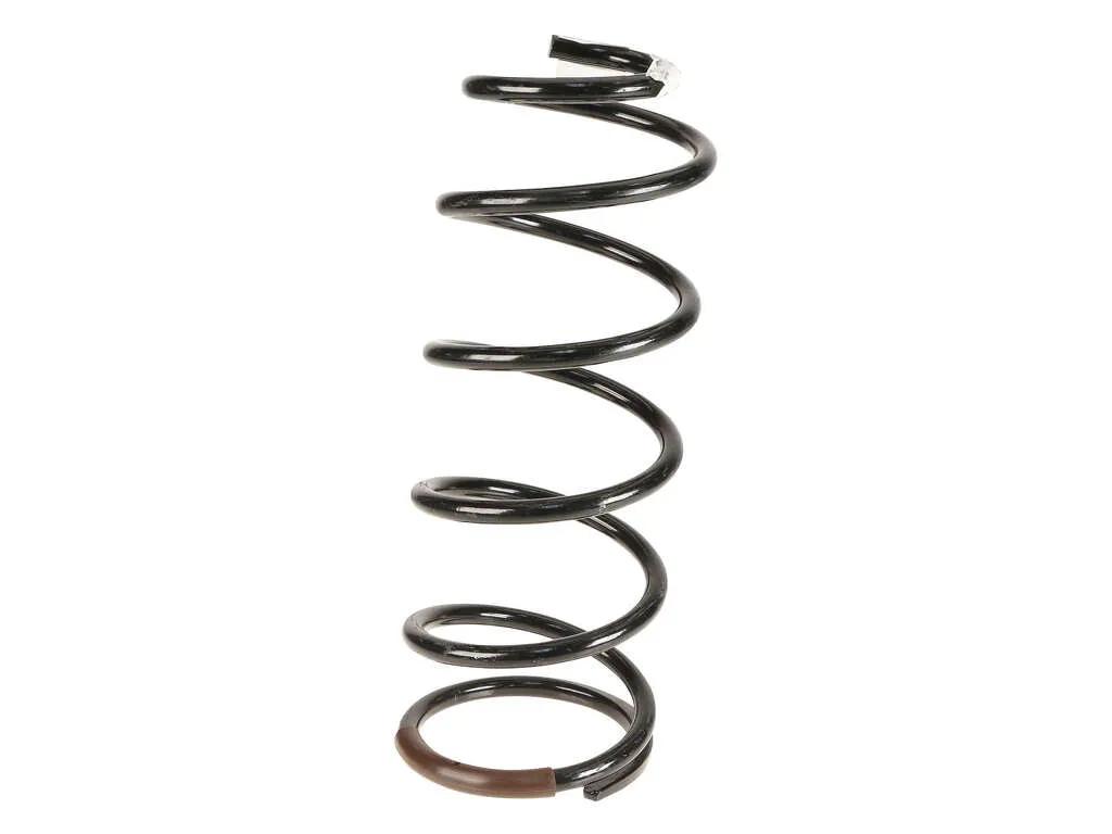 1998-2002 Toyota 4Runner Coil Spring - Rear (Genuine)