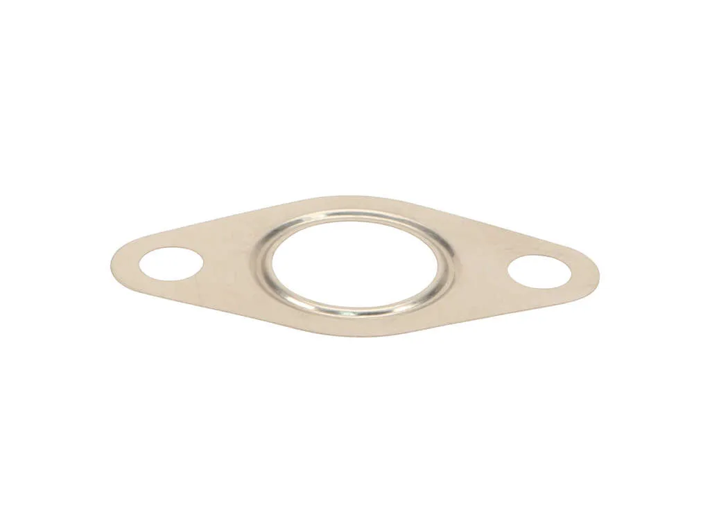 2005-2006 Volkswagen Jetta Exhaust Gas Recirculation (EGR) Valve Gasket (Victor Reinz)