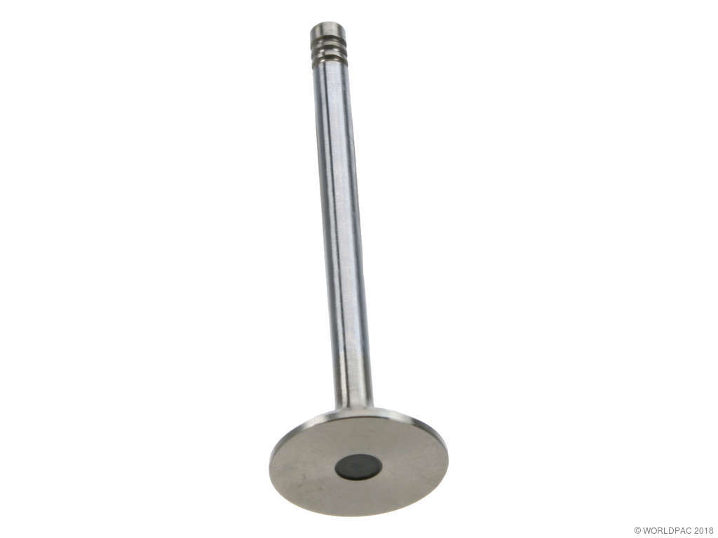 1976-1989 Volvo 244 Engine Exhaust Valve (TRW)