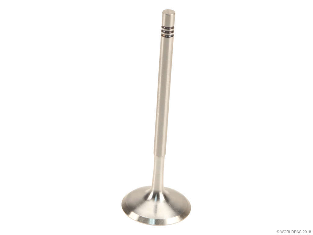 2009-2012 BMW 750i Engine Intake Valve (TRW)