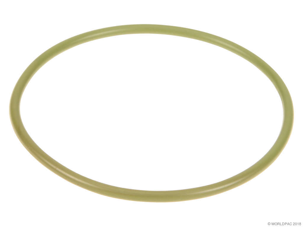 2003-2008 Ford Focus Fuel Pump Tank Seal (Motorcraft)